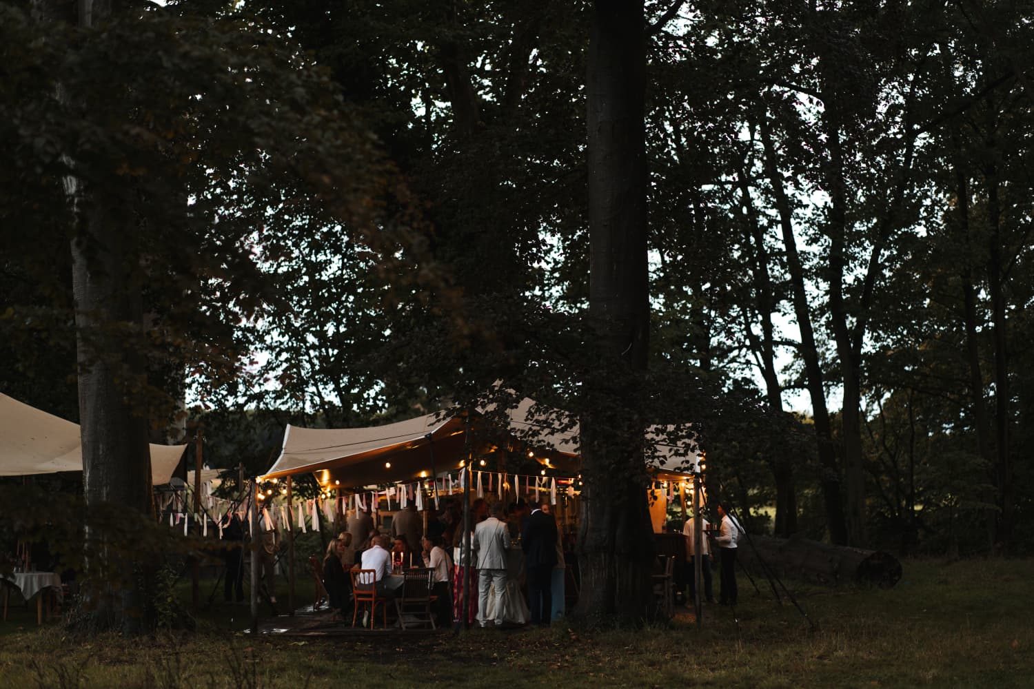 Feesttent met lichtjes tussen de bomen in de avond